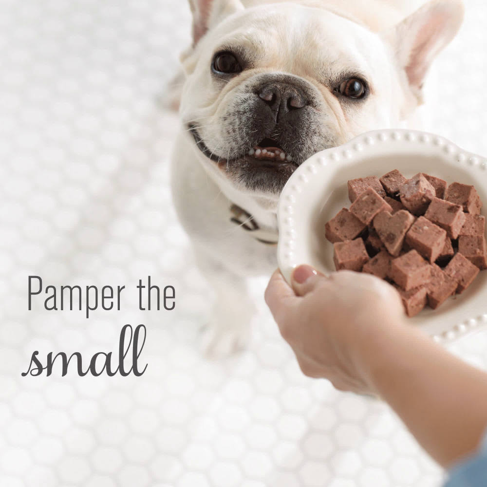 Purina Bella Grain Free Natural Small Breed Pate Wet Dog Food, With