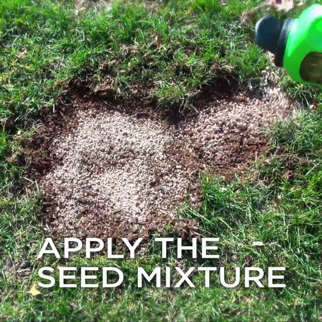 Pennington One Step Complete Dense Shade Patch & Repair Grass Seed Mix, Partial to Full Shade, 5 lb.