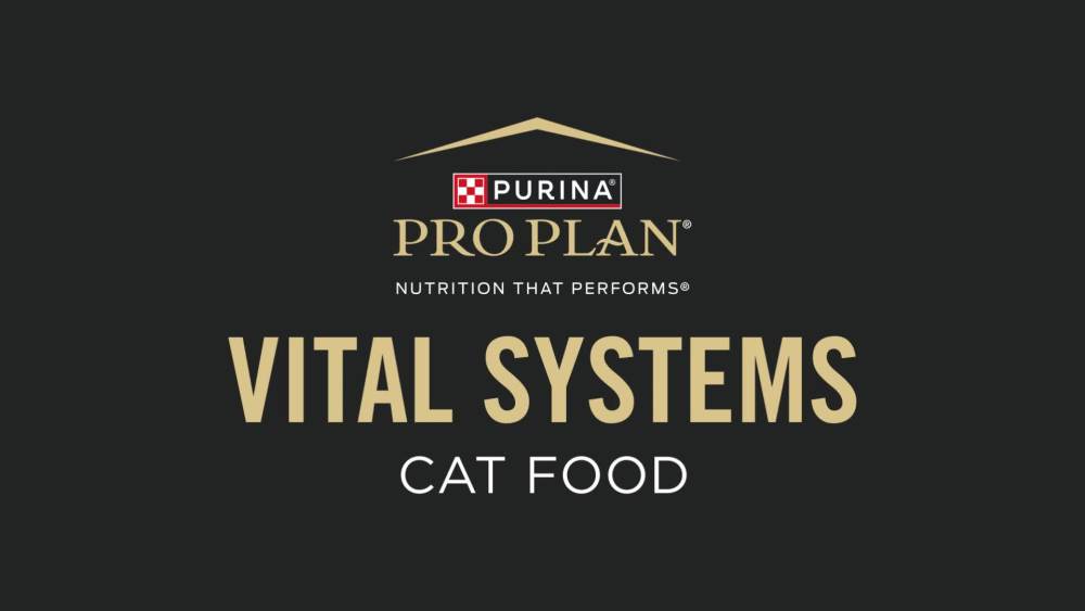 Purina Pro Plan Wet Cat Food Vital Systems Chicken Entree in Wet Cat