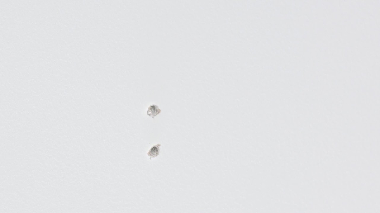 thumbnail video image 2 of Umbra Venus 1" Expandable Curtain Rod 36-72", 2 of 12