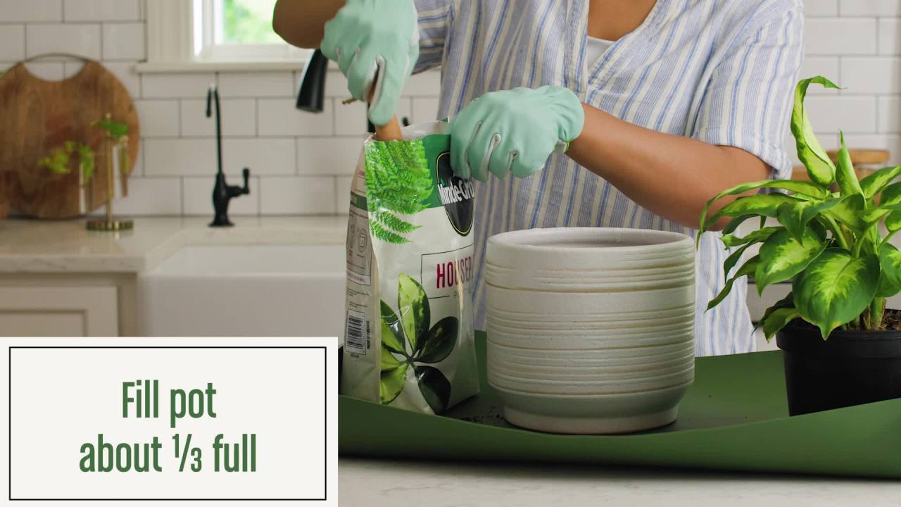 thumbnail video image 2 of Miracle-Gro Houseplant Potting Mix, 4 qt., Fertilizer and Soil, 2 of 11
