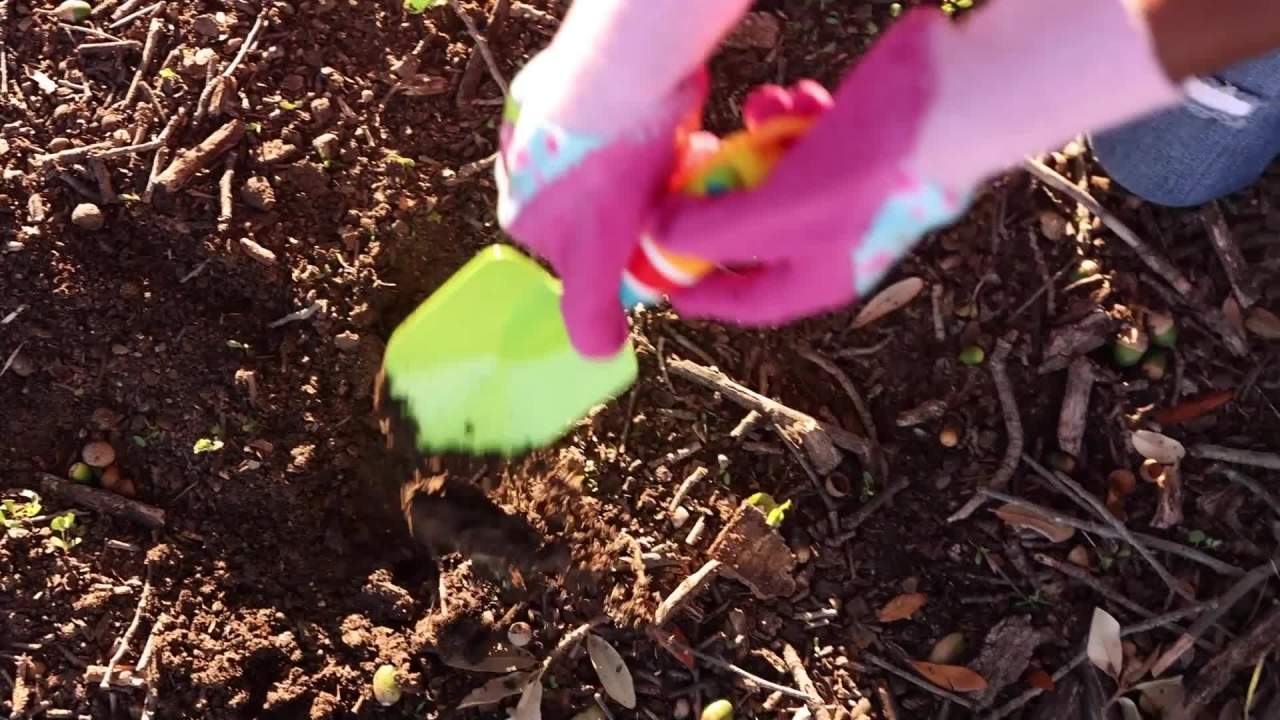 thumbnail video image 2 of Melissa & Doug Sunny Patch Giddy Buggy Cultivator and Trowel Set, 2-Piece Children’s Metal Gardening Tools, 2 of 10