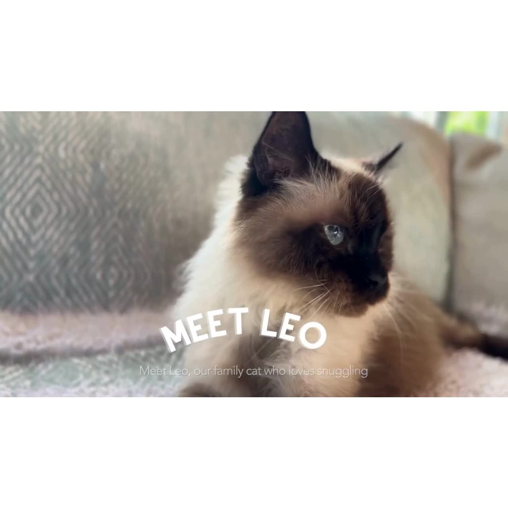 thumbnail video image 2 of Fresh Step Crystals Health Monitoring Cat Litter, 7 lbs, 2 of 14