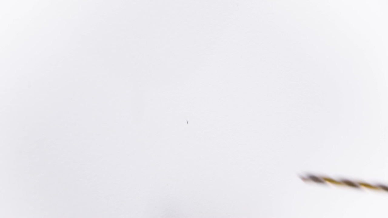 thumbnail video image 2 of Umbra Dotsy 7 Hook, 2 of 16