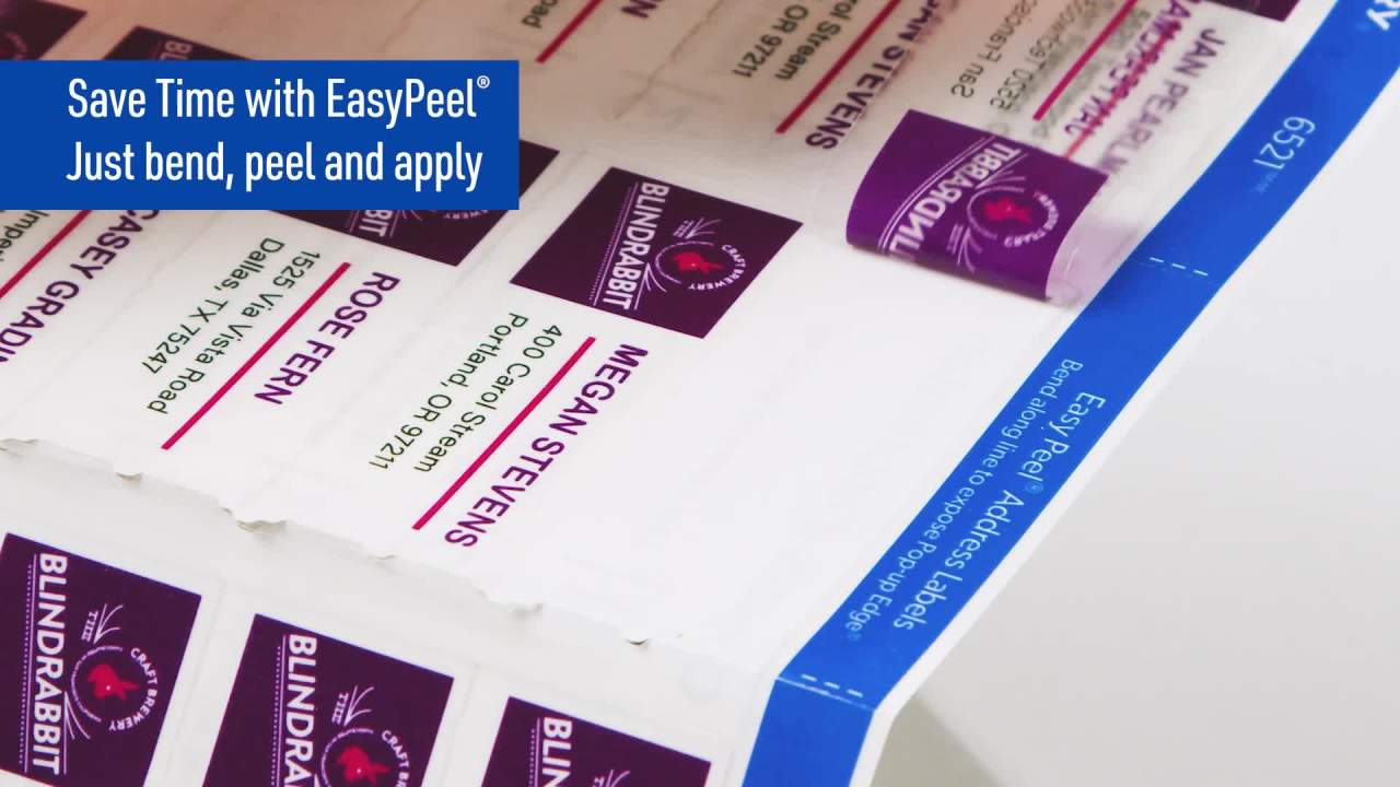 thumbnail video image 2 of Avery Glossy Clear Address Labels, 1" x 2-5/8", 210 Labels (6585), 2 of 11