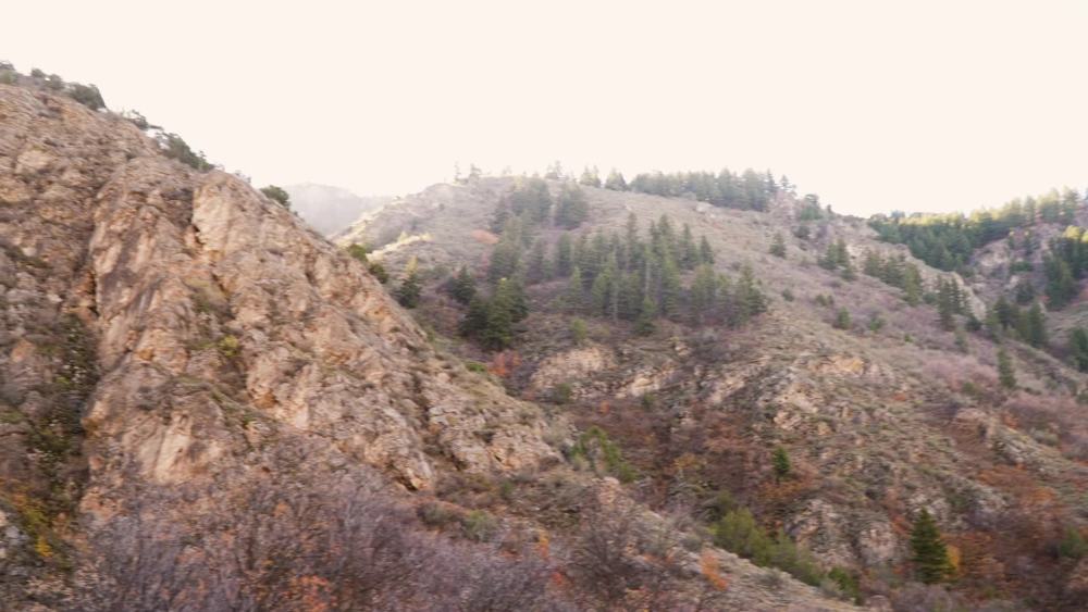 Blackstone Stainless Steel Griddle Press with Collapsible Handle