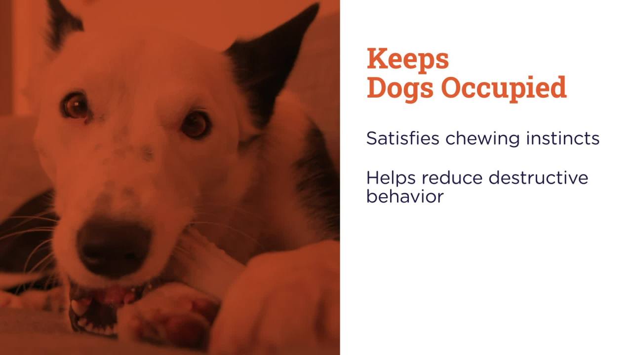 thumbnail video image 2 of Petstages Deerhorn Antler Alternative Dog Chew Toy, Grey, Large, 2 of 7