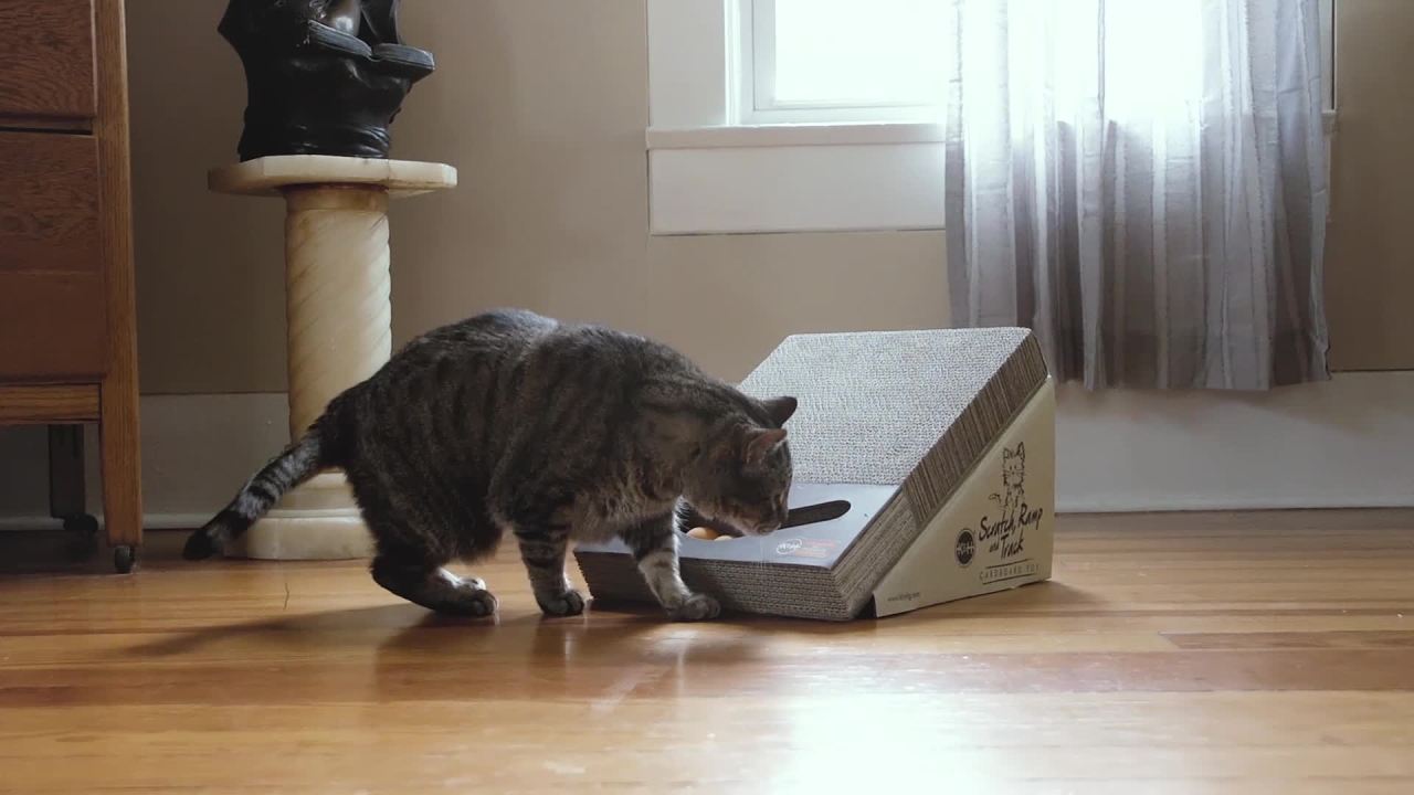 thumbnail video image 2 of K&H Pet Products Scratch Ramp and Track Cat Scratcher Toy Cardboard 15 X 12 X 10 Inches, 2 of 7