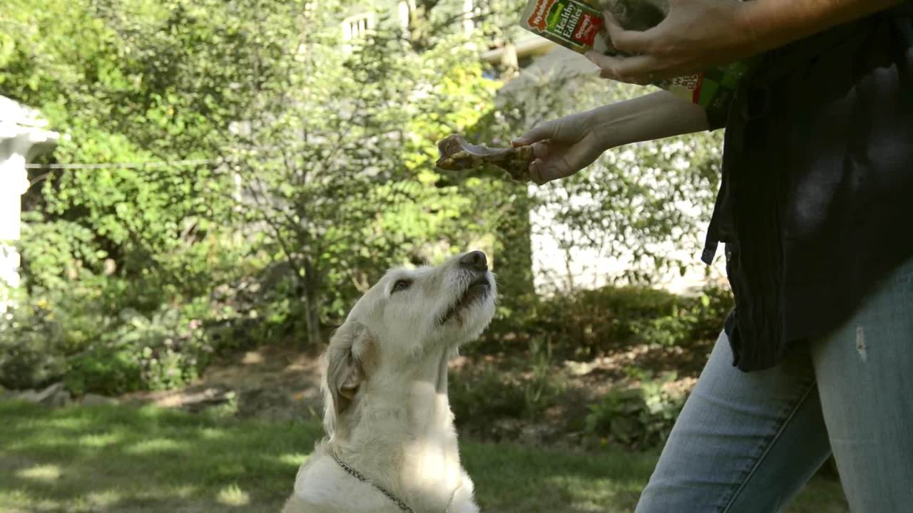 thumbnail video image 2 of Nylabone Healthy Edibles WILD Antler Natural Long Lasting Venison Flavor Dog Chew Treats Medium/Wolf (2 Count), 2 of 13