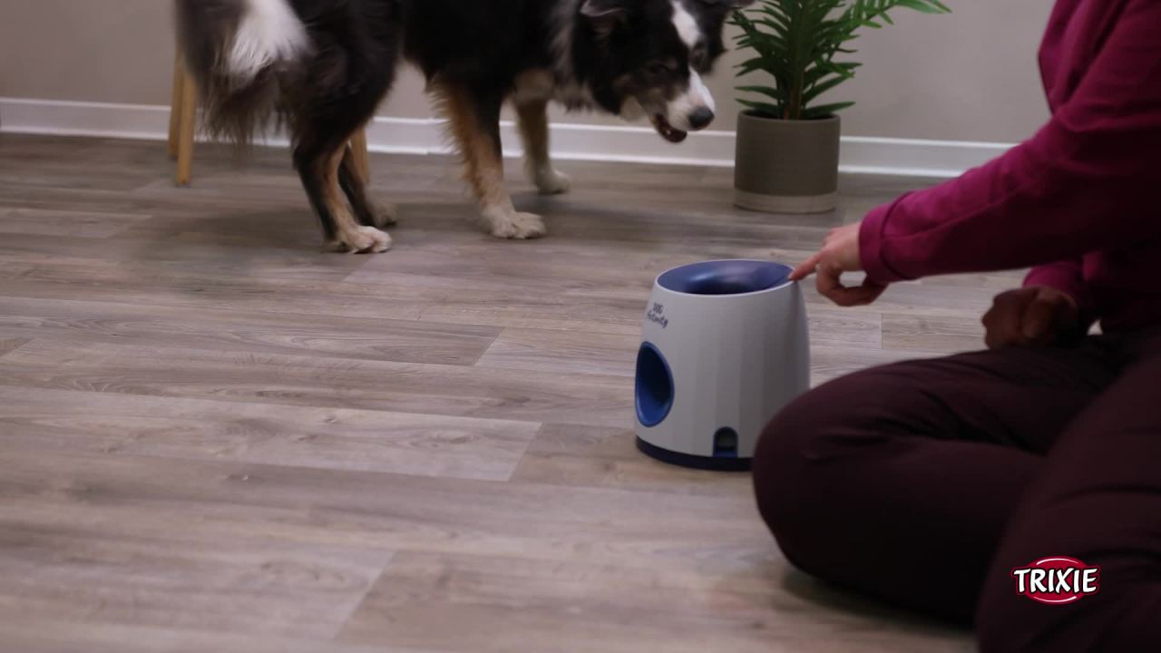 thumbnail video image 2 of TRIXIE Dog Activity Ball and Treat Strategy Game, Level 3, Advanced Dog Puzzle Toy, 2 of 9