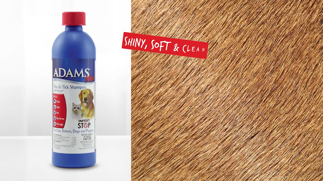 Adams Flea And Tick Shampoo Killing Cats