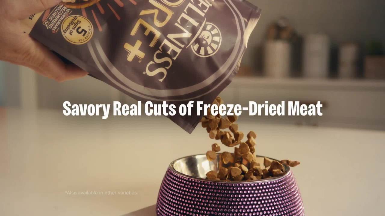 thumbnail video image 2 of Wellness CORE+ Dry Dog Food with Freeze Dried Pieces, Grain Free, High Protein, Natural, Wild Game Duck, Lamb, Wild Boar, & Rabbit Recipe, (18-Pound Bag), 2 of 9