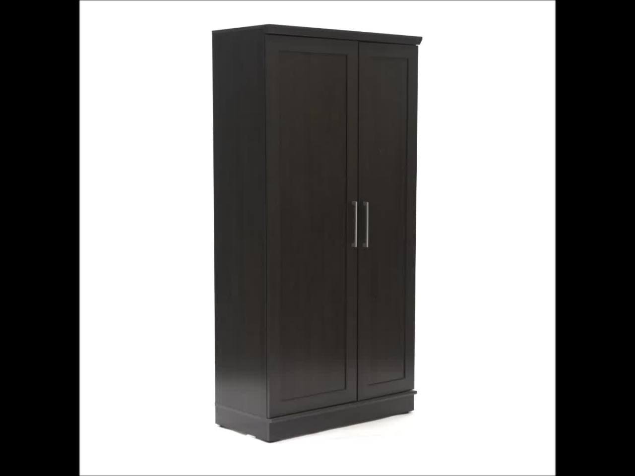 thumbnail video image 2 of Sauder HomePlus Storage Cabinet, Dakota Oak Finish, 2 of 12