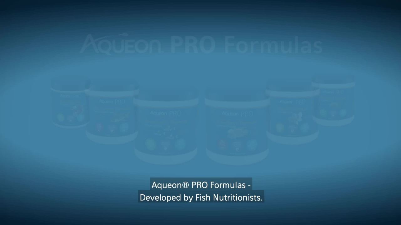 thumbnail video image 2 of Aqueon Pro Foods Community Fish Food Formula 4.5 oz, 2 of 10