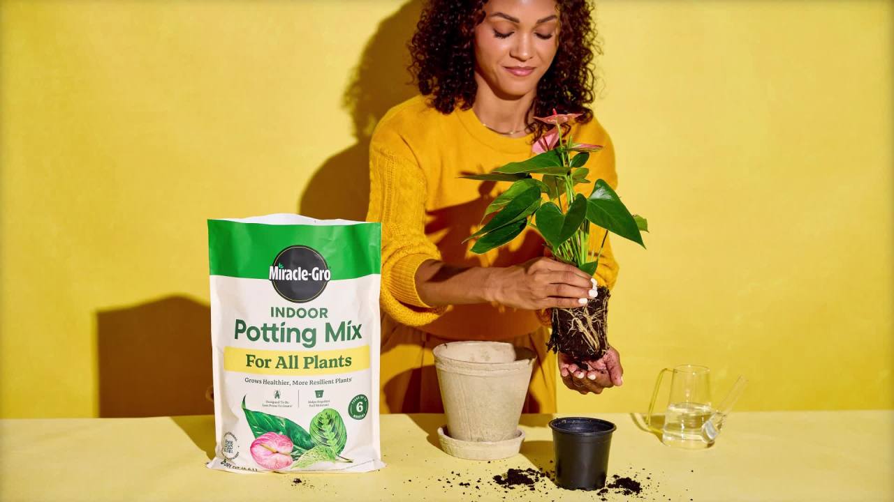 thumbnail video image 3 of (2 pack) Miracle-Gro Indoor Potting Mix for All Plants, Use with Houseplants and More, 6 qt., 3 of 14