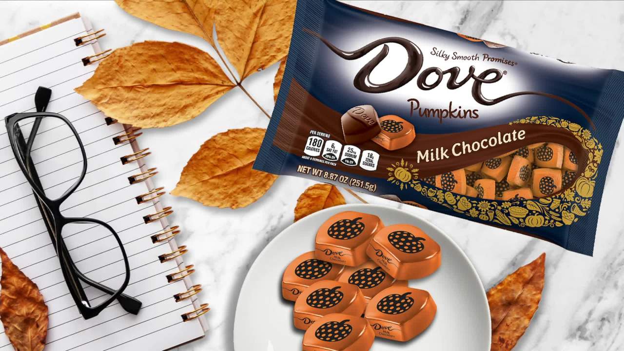 thumbnail video image 2 of Dove Promises Milk Chocolate Pumpkins Fall Candy - 8.87oz, 2 of 13