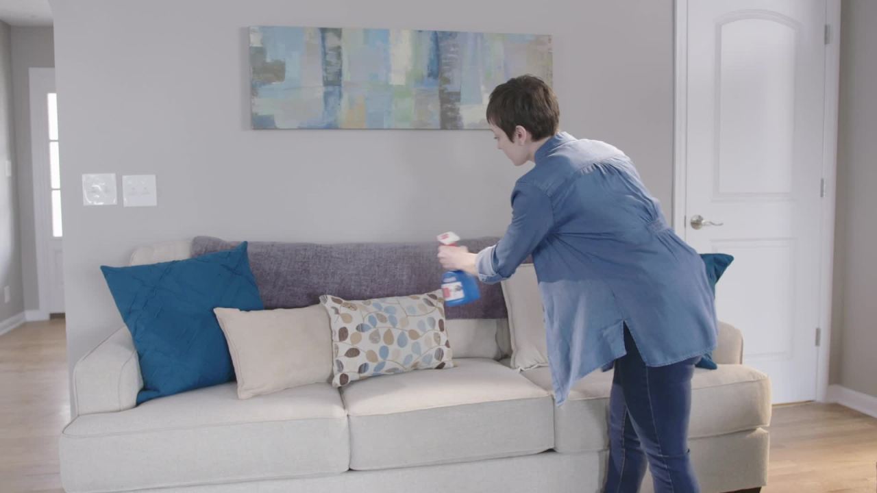 thumbnail video image 2 of ADAMS Flea & Tick Home Spray, Kills Fleas, Flea Eggs, Flea Larvae, Bed Bugs, Ticks, Ants (Except Carpenter, Harvester, Pharaoh and Fire Ants), Cockroaches, Spiders, & Mosquitoes In The Home, 24 Fl Oz, 2 of 11