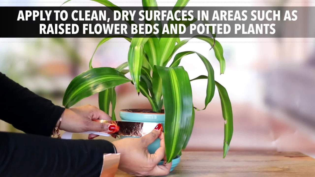 thumbnail video image 2 of Corry's Slug & Snail Copper Tape Barrier, 15 ft. Roll, 2 of 8