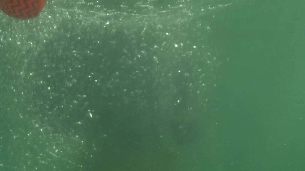 thumbnail video image 2 of Wahu Wahu Super Grip Skimball 2-Pack Blue/Yellow - 100% Waterproof Ball Can Skip Over 150-Feet Across The Water, 2 of 8