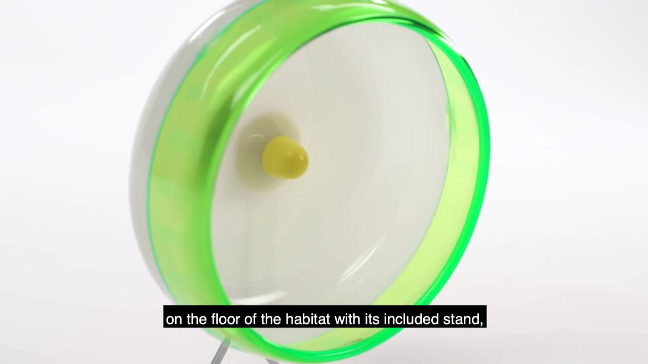 thumbnail video image 2 of Kaytee Small Animal Silent Spinner Wheel Giant 12 Inch (assorted colors), 2 of 10