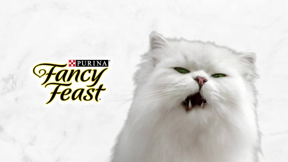 Purina Fancy Feast Senior Wet Cat Food 7 Years Plus Beef Feast Pate