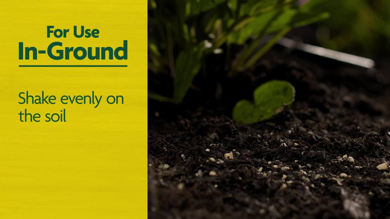 thumbnail video image 2 of Miracle-Gro 3 lbs Organic Granules Plant Food, 2 of 10