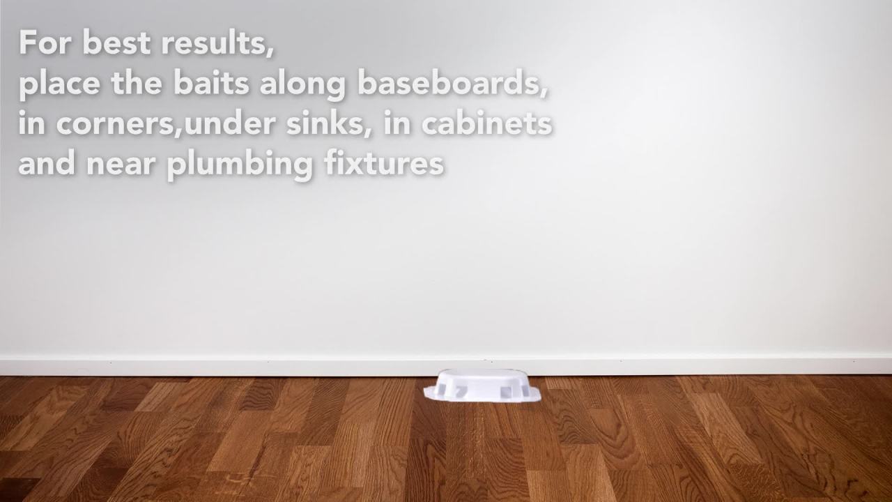 thumbnail video image 2 of Raid Ant Baits Indoor Ant Insect Killer Traps, 0.12oz, 4 Count, 2 of 16