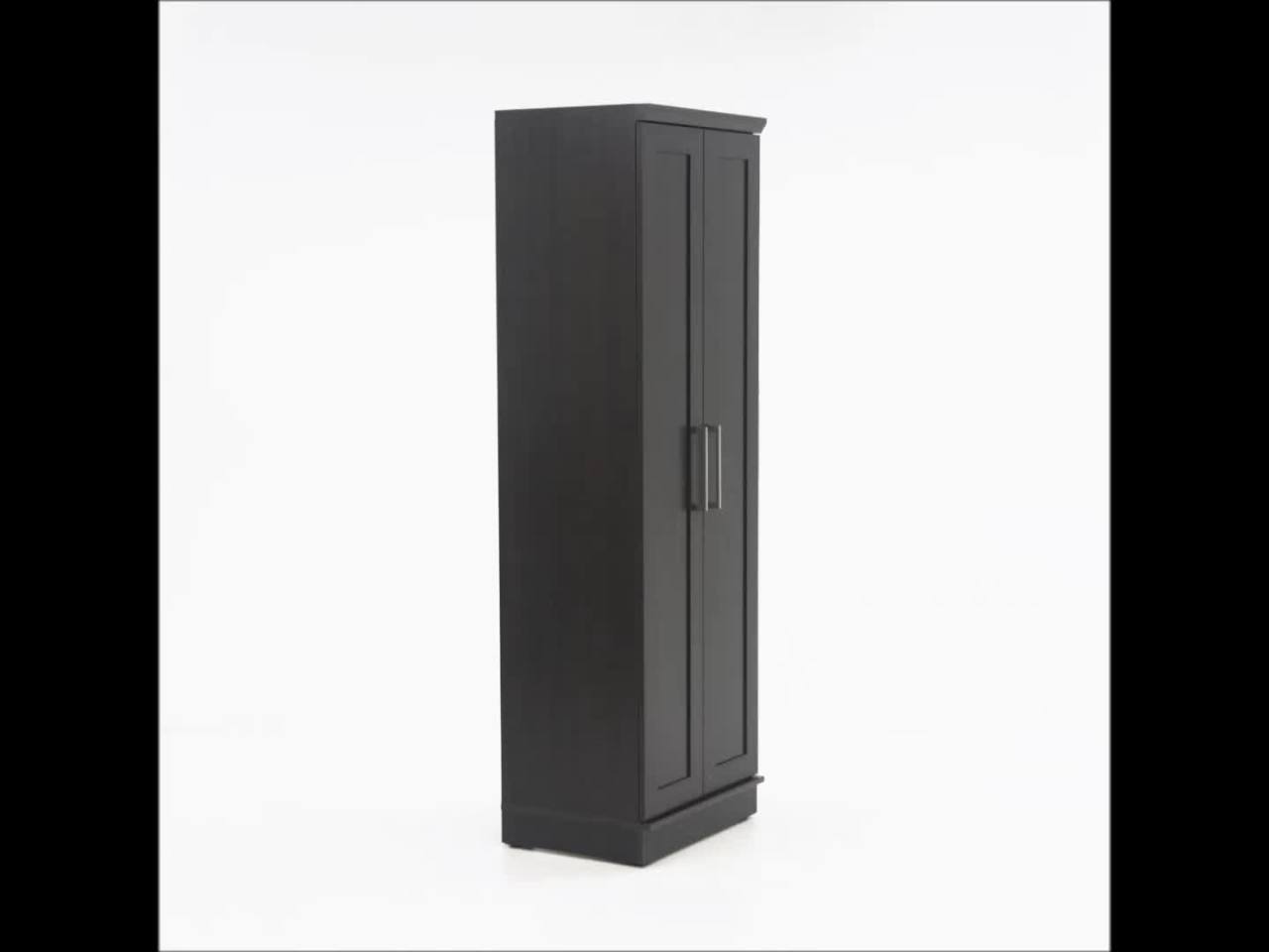 thumbnail video image 2 of Sauder Homeplus Storage Cabinet, Dakota Oak Finish, 2 of 11