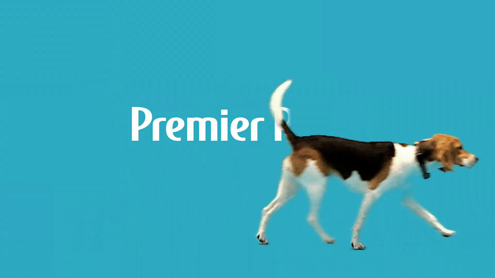 Premier Pet InGround Fence for Dogs Customizable .33 Acre Barrier, In