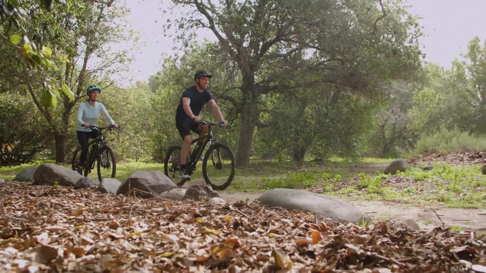 schwinn sidewinder electric bike