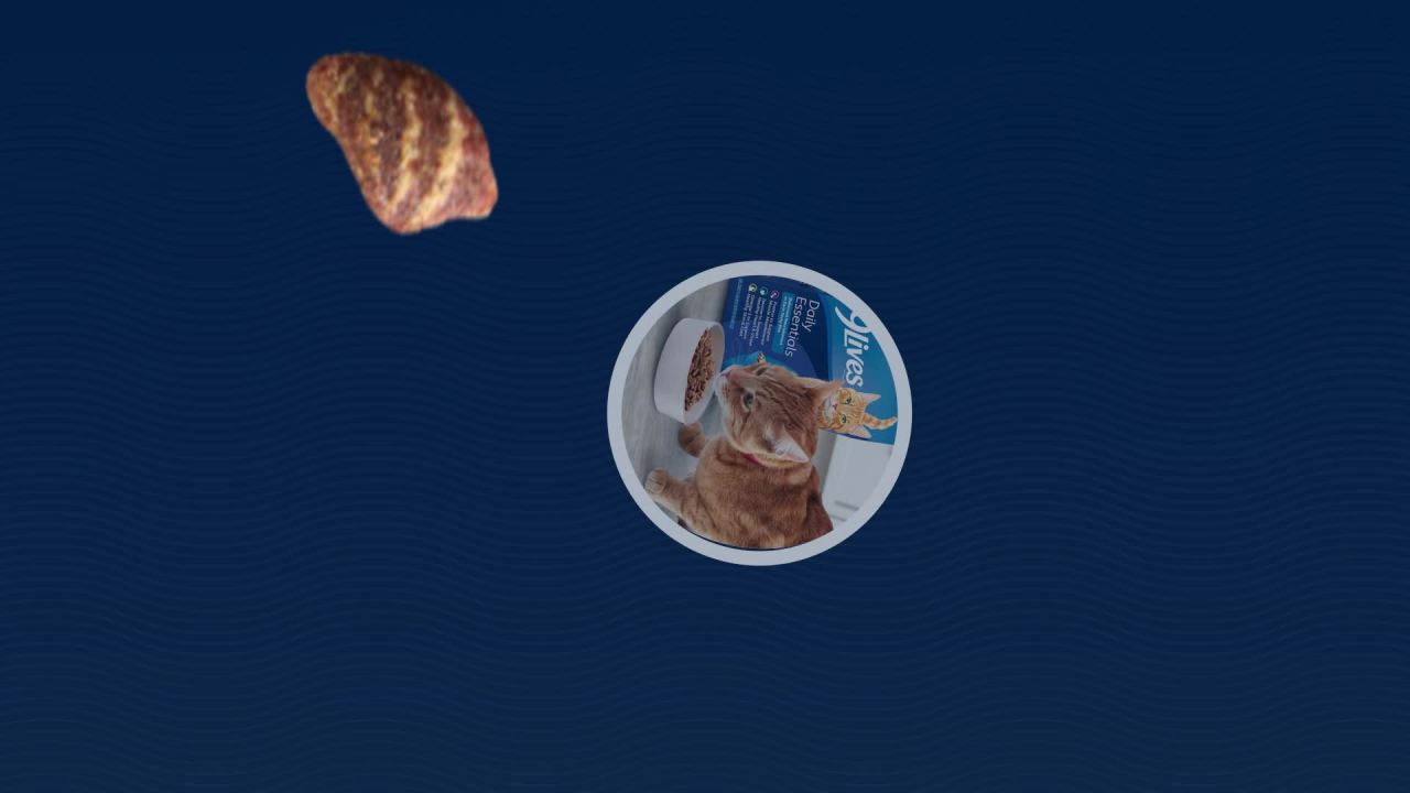 thumbnail video image 2 of 9Lives Seafood & Poultry Favorites Wet Cat Food Variety pack, 5.5 oz. Cans (Pack of 24), 2 of 11