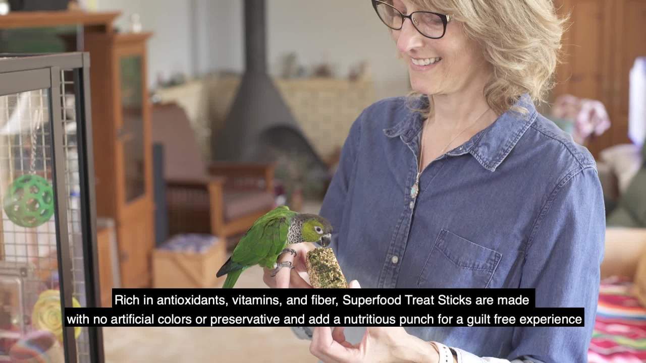 thumbnail video image 2 of Kaytee Avian Superfood Treat Stick Spinach & Kale 5.5oz, 2 of 6