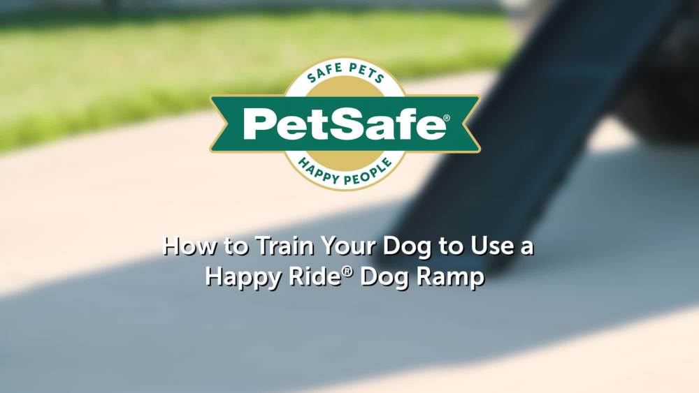 PetSafe Half Ramp II for Dogs, Lightweight with HighTraction Walking
