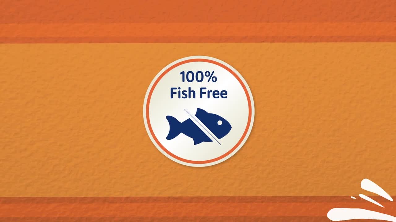 thumbnail video image 2 of Aqueon Nutrinsect Fish-Free Fish Food Betta Pellets 1.41 oz, 2 of 8