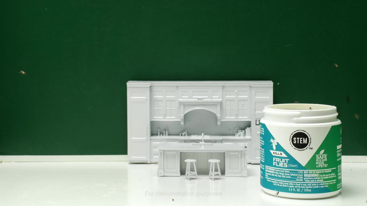thumbnail video image 2 of STEM Kills Indoor Fruit Flies Trap, 5.4 fl oz, 2 of 13