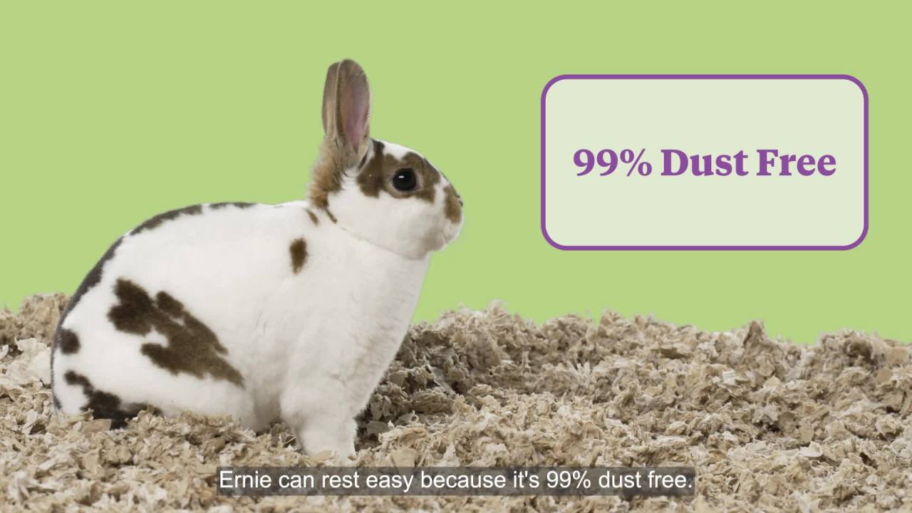 thumbnail video image 2 of Kaytee Clean & Cozy Natural Bedding with Lavender, for Rabbits, Hamsters & More, 24.6L, 2 of 7