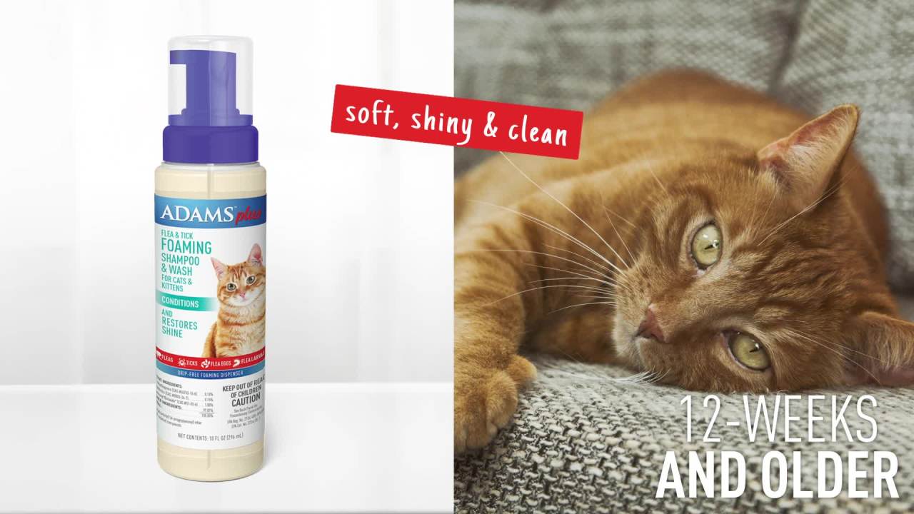 thumbnail video image 2 of ADAMS Plus Flea & Tick Foaming Shampoo & Wash for Cats & Kittens Over 12 Weeks, Sensitive Skin Flea Treatment for Cats & Kittens, Kills Adult Fleas, Ticks and Lice On Contact, 10 Fluid Ounces, 2 of 13