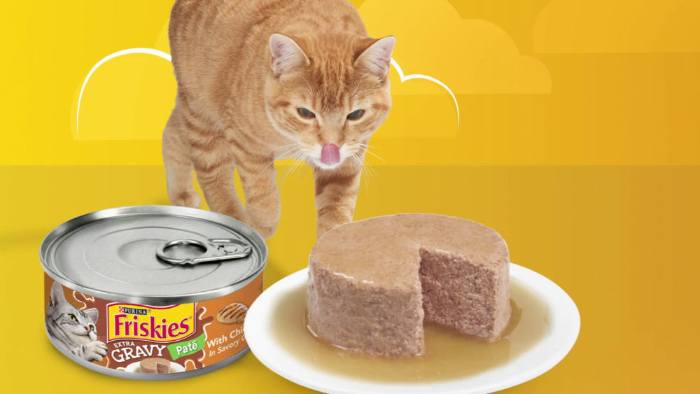 Purina Friskies Extra Gravy Pate Wet Cat Food Turkey in Gravy, 5.5 oz