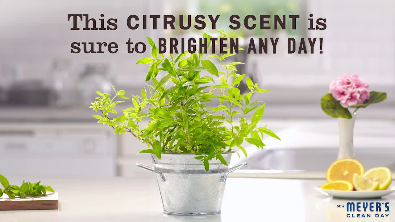 thumbnail video image 2 of Mrs. Meyer's Clean Day Liquid Hand Soap, Lemon Verbena Scent, 12.5 Ounce Bottle, 2 of 7
