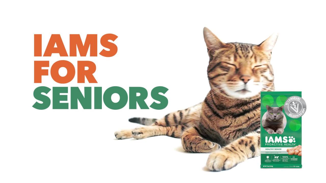 thumbnail video image 2 of Iams Proactive With Real Chicken & Salmon Health Long Hair Care Adult Dry Cat Food, 6 Lb Bag, 2 of 11