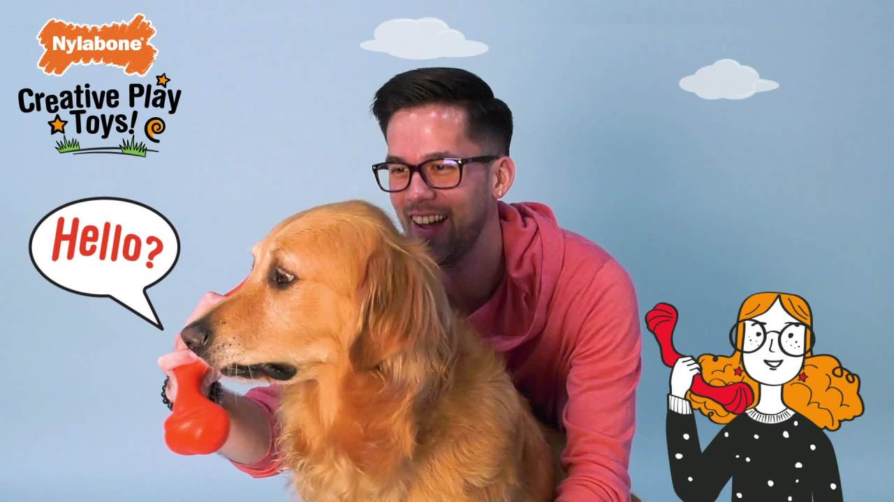 thumbnail video image 2 of Nylabone Tuug Interactive Dog Toy for Dog Enrichment, Firm Yet Flexible Dog Tug Toy, 2 of 14