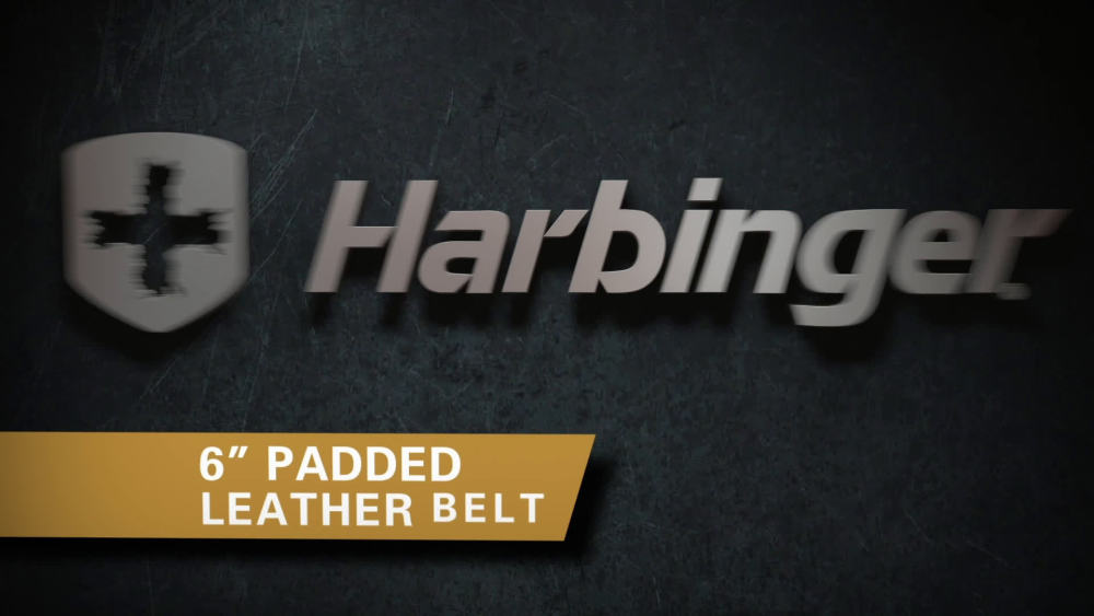 Harbinger Padded Leather Contoured Weightlifting Belt with Suede Lining