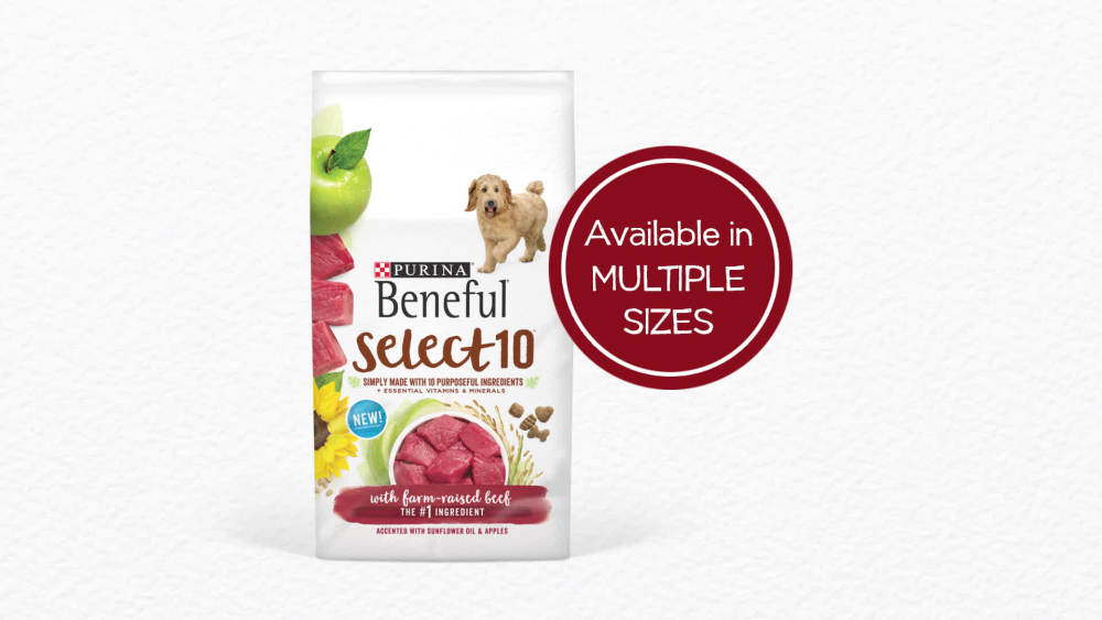 Purina Beneful Natural Dry Dog Food, Select 10 With Farm Raised Beef