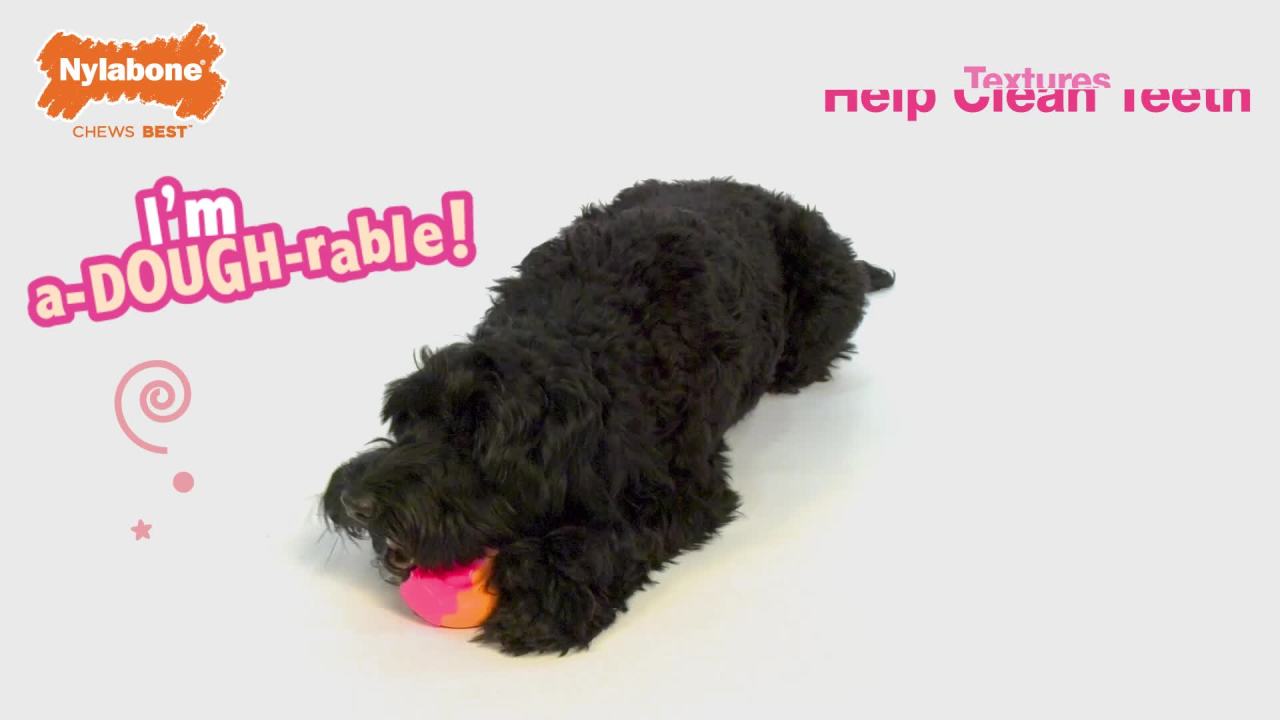 thumbnail video image 2 of Nylabone Power Chew Baguette Dog Toy Roast Chicken Large (1 Count), 2 of 15
