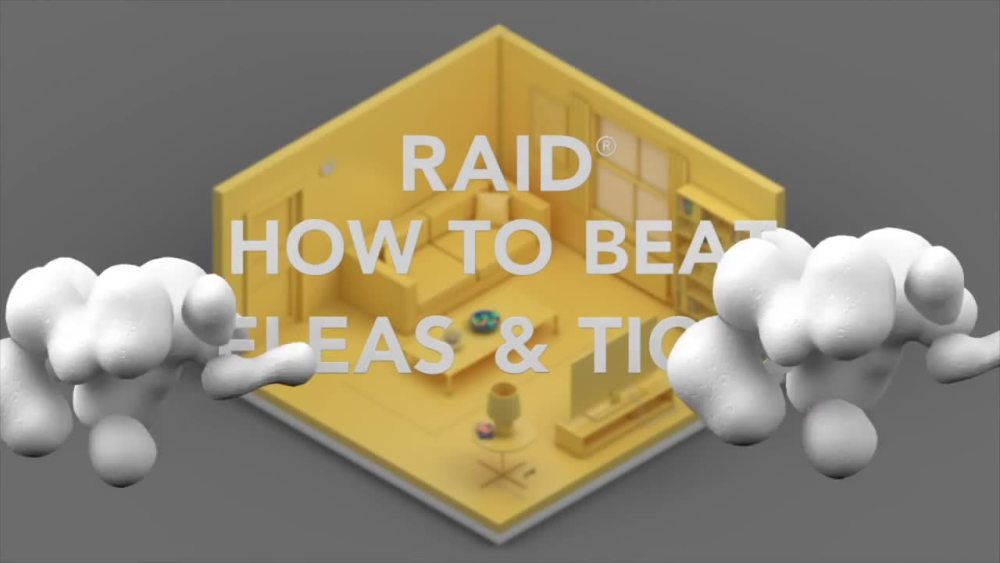 Raid Flea Killer Plus Carpet & Room Spray, Bug Spray Kills Fleas & Flea Eggs, 16 oz