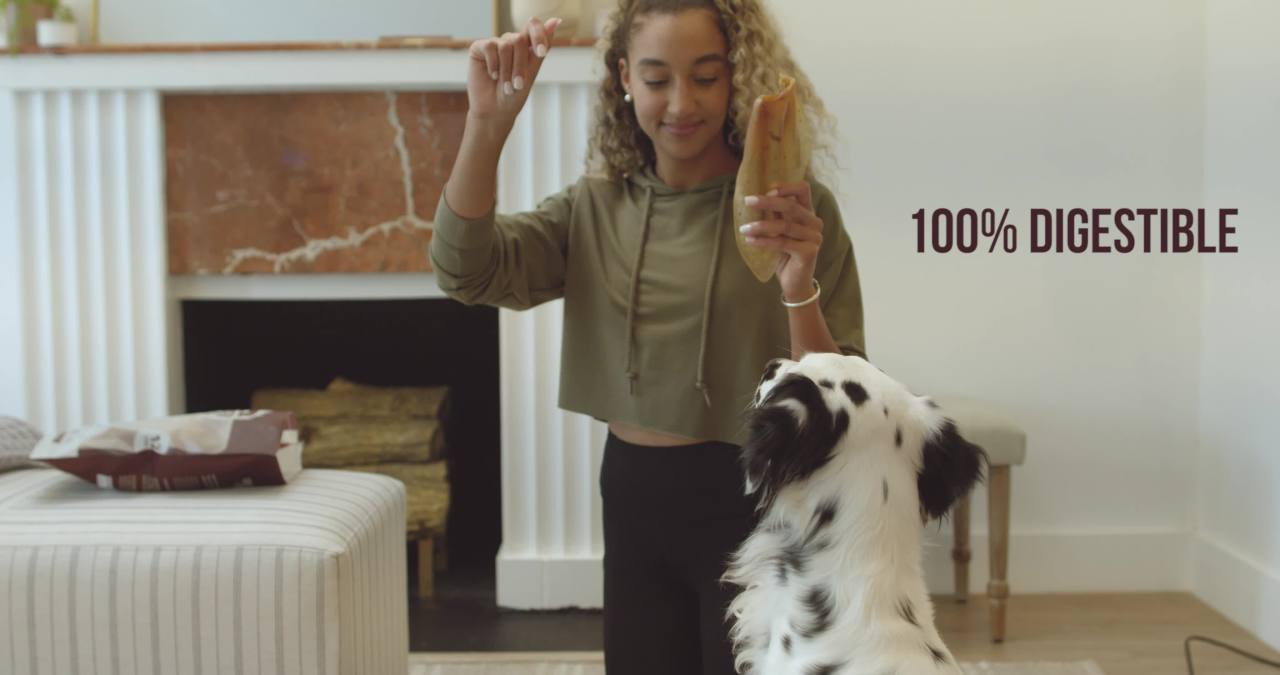 thumbnail video image 2 of Greater Wild Chicken Recipe Jerky Strips, Semi-Moist Treats for Dogs - 17.6 oz., 2 of 11