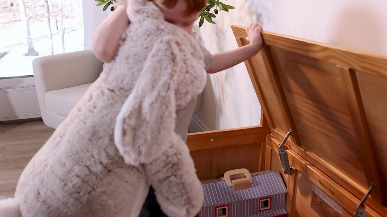 thumbnail video image 2 of Melissa & Doug Wooden Toy Chest, Toy Storage Box (Blonde) with Hinged-Lid, Playroom Furniture for Kids Ages 3+ [Wood], 2 of 11