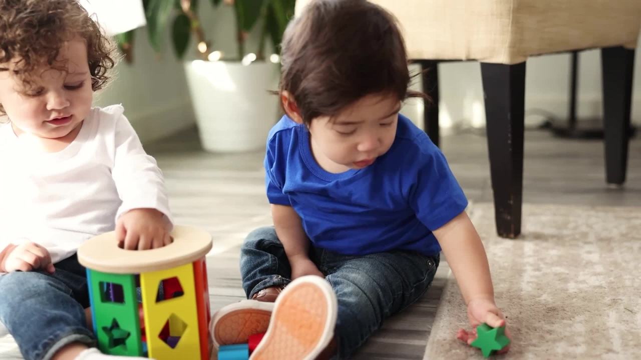 thumbnail video image 3 of Melissa & Doug Match and Roll Wooden Shape Sorter Skill-Building Learning Toy With 13 Pcs, 3 of 11