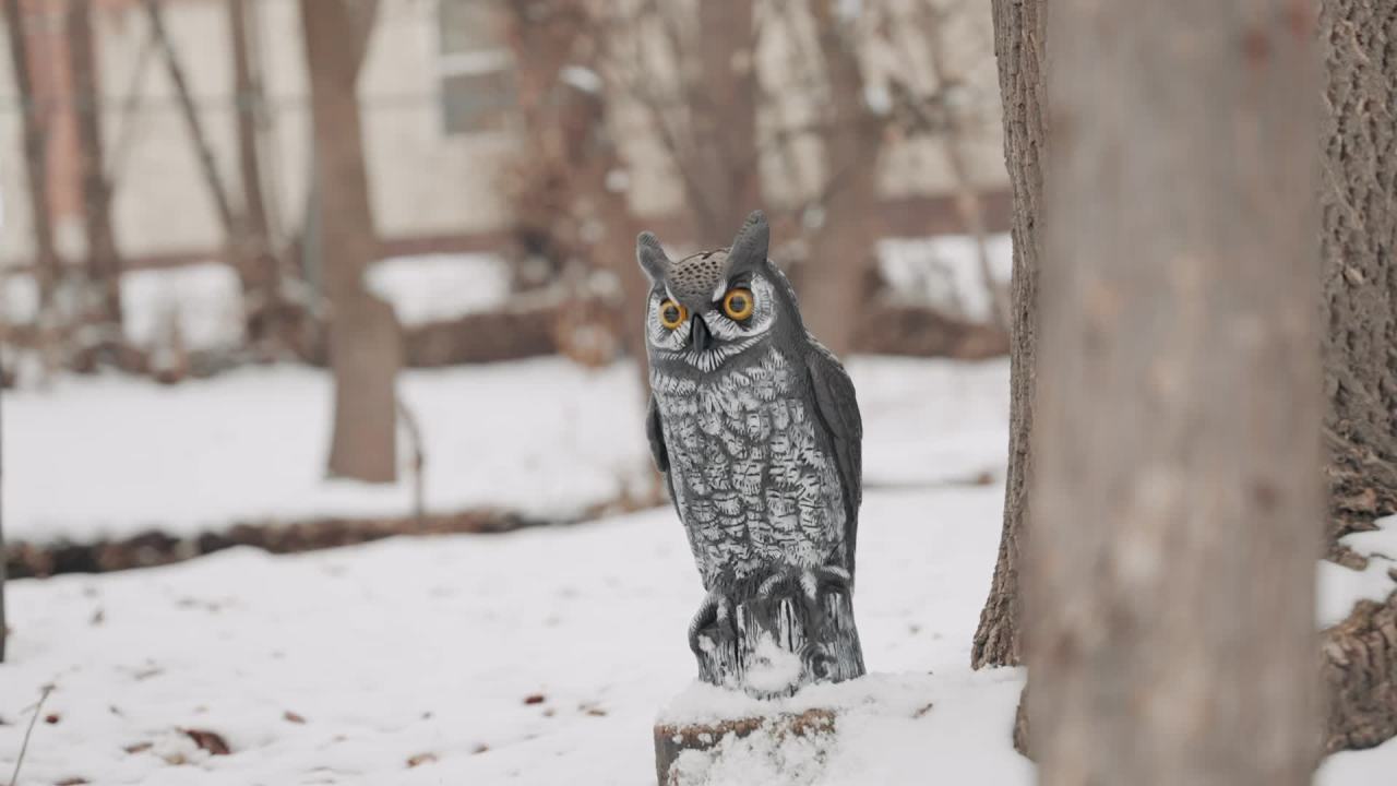 thumbnail video image 2 of Vivitar Digital Night Vision Binocular 1080P Camera, 5x Zoom for Night Vision Pictures and Video, Black, 2 of 11