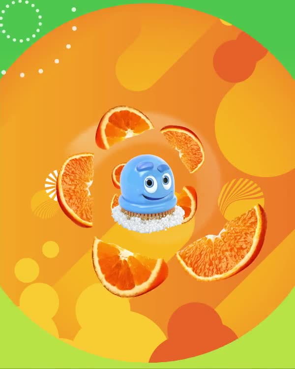 Scrubbing Bubbles Fresh Gel Toilet Cleaning Stamp, Floral Fusion